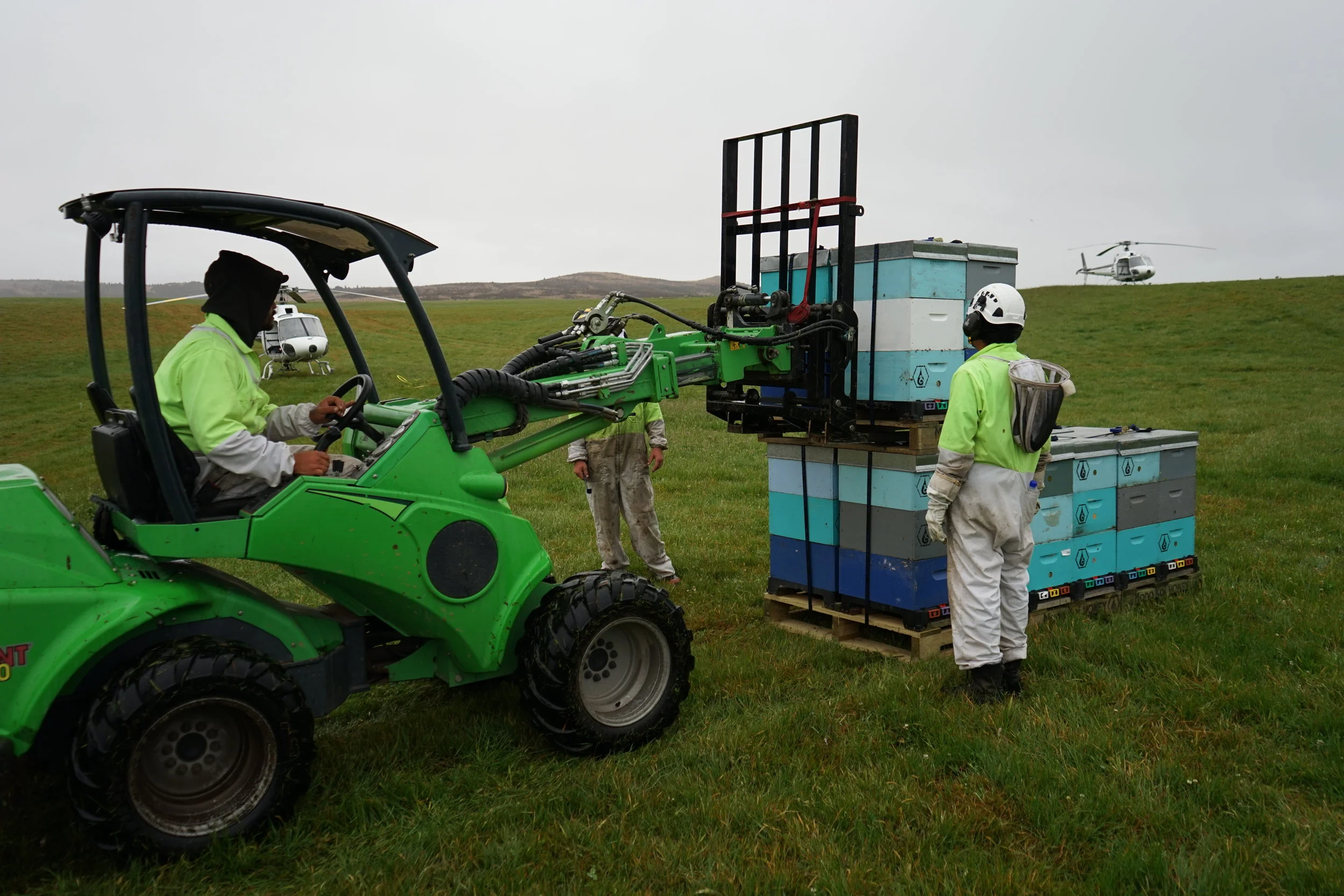 2017 - Mana Kai Honey move buzzy bees to Taupo!