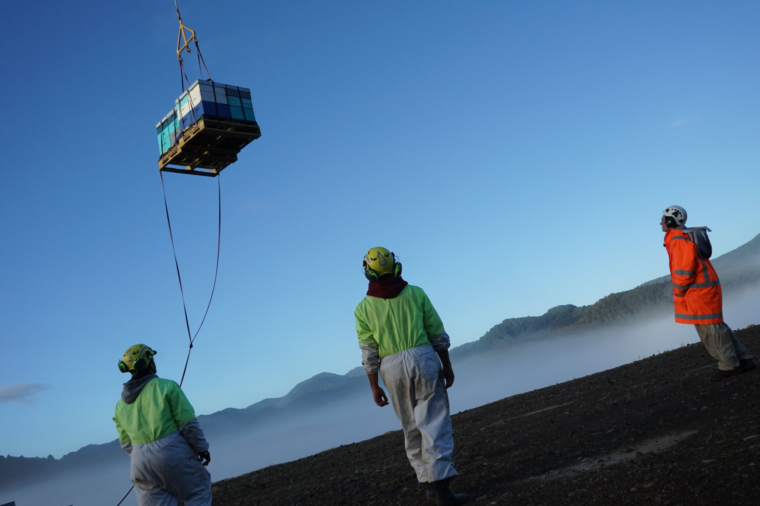 2018 - Mana Kai Honey Bringing Back Buzzy Bees!