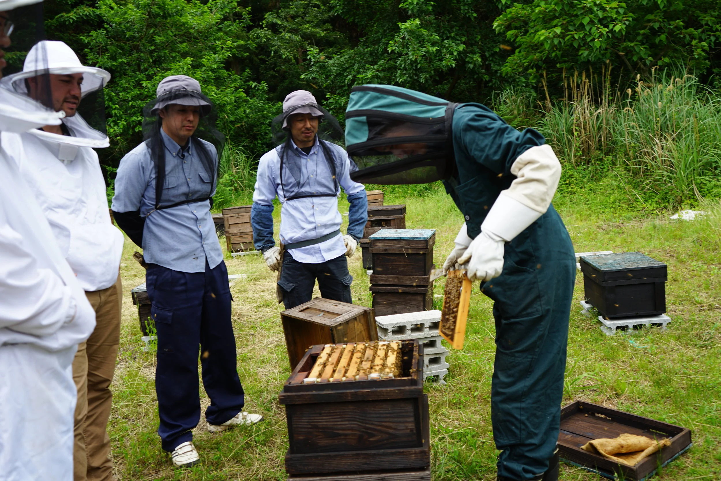 2018 - Visiting Hachinone Beekeeping - Japan.