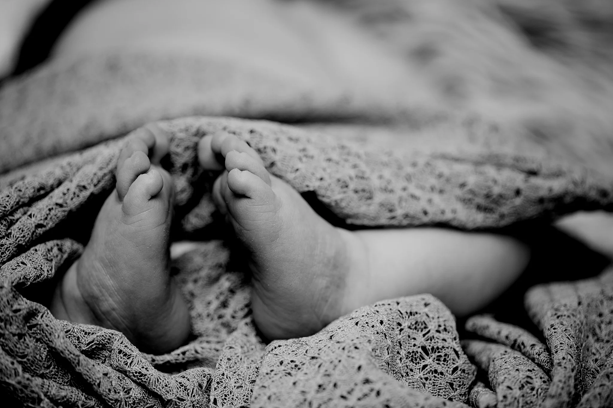 landis newborn-4712.jpg