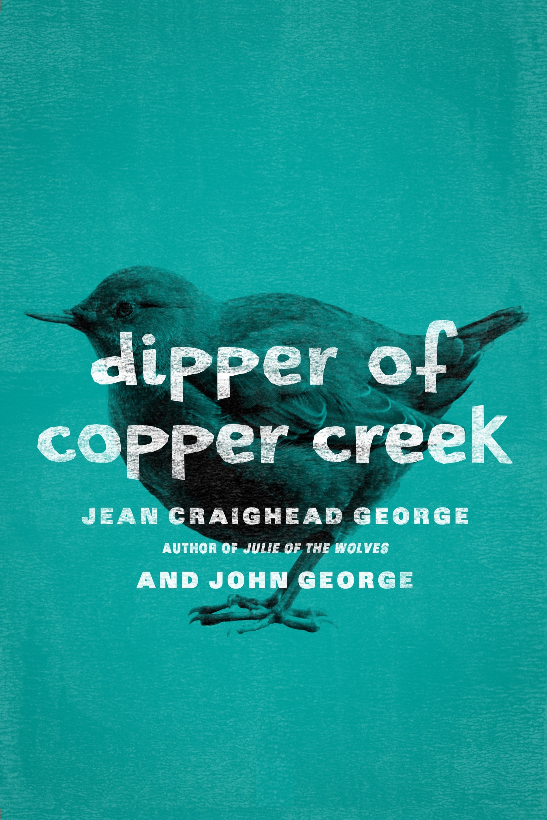 Dipper of Copper Creek_edited.jpg