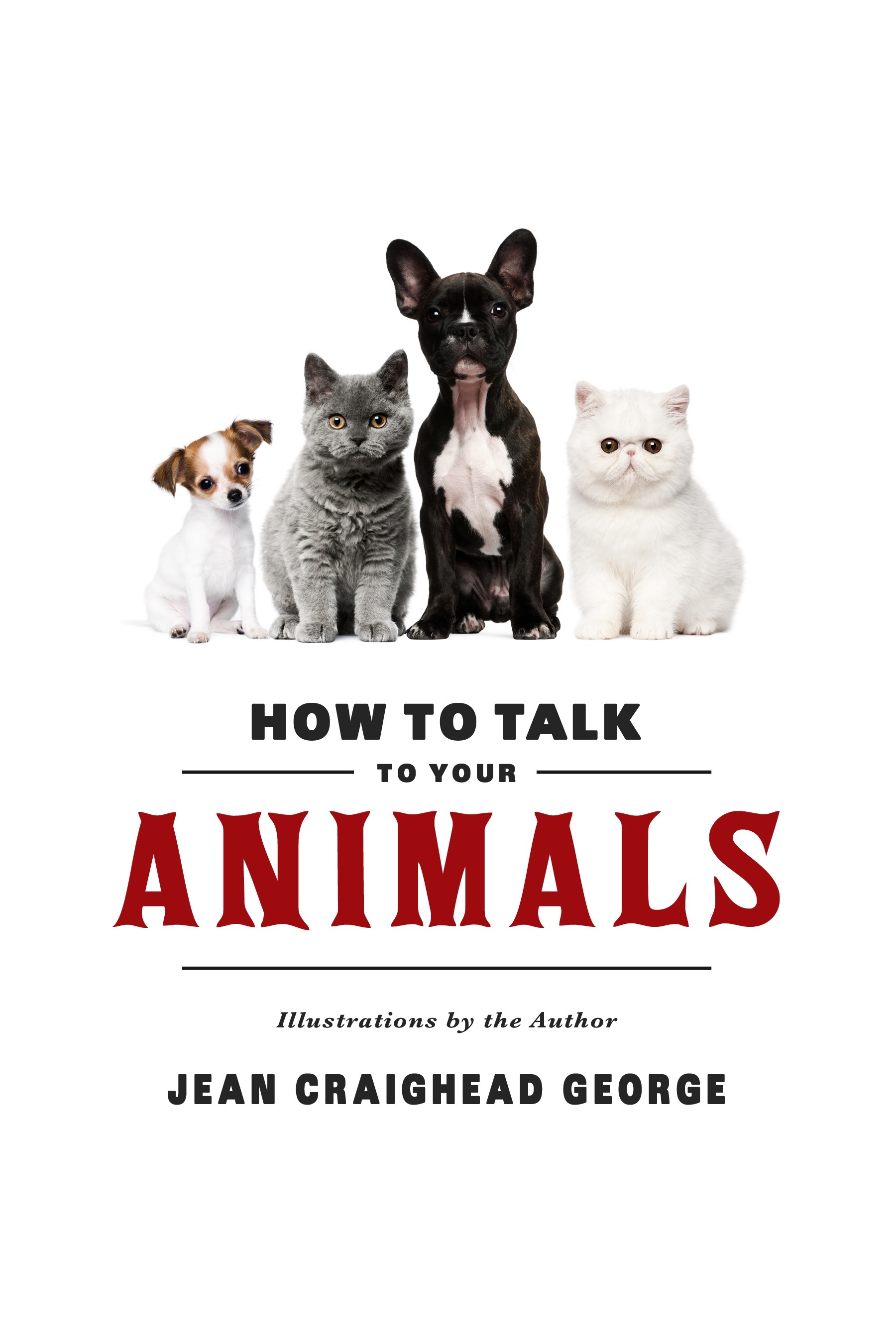 How to Talk to your Animals_edited.jpg
