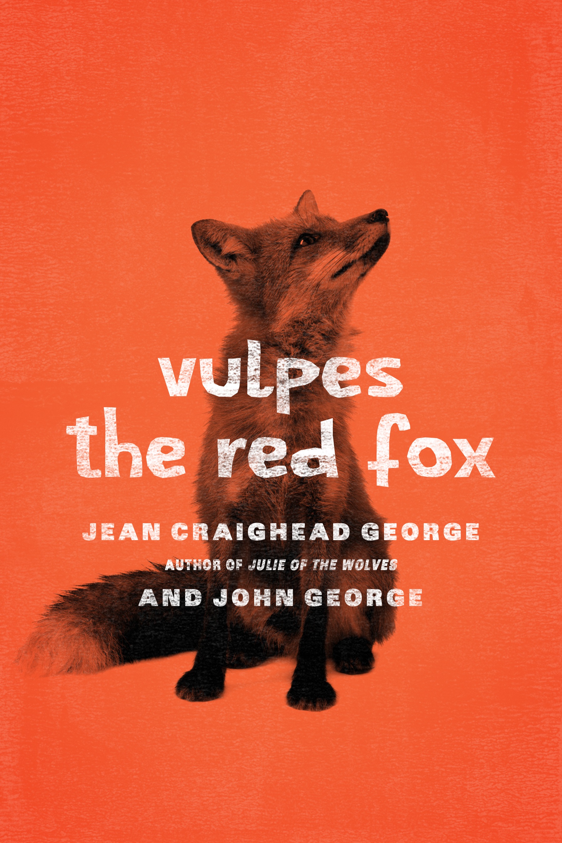 Vulpes_edited.jpg