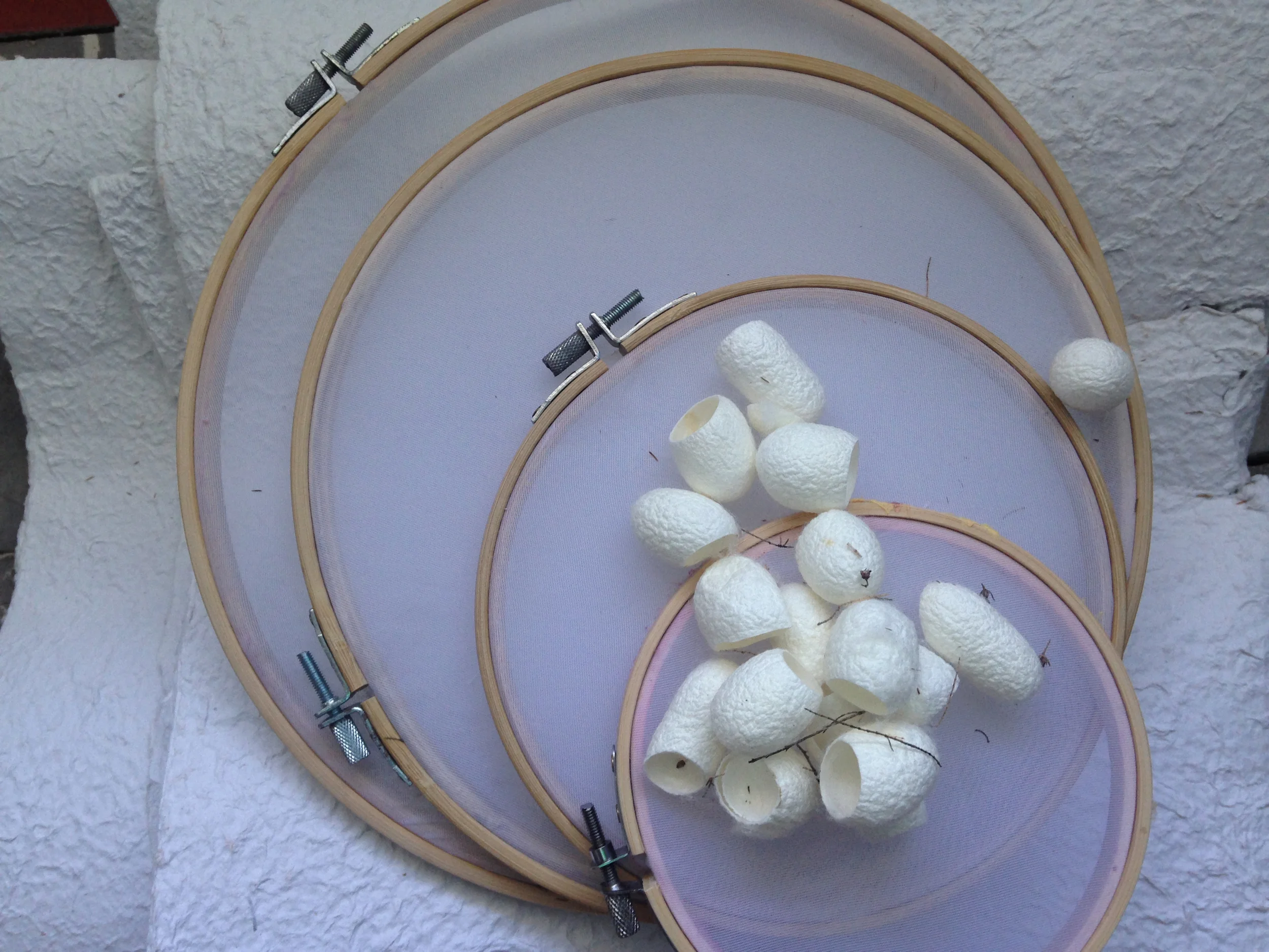 My new papermaking circular embroidery frames, some paper linters and silk cocoons.