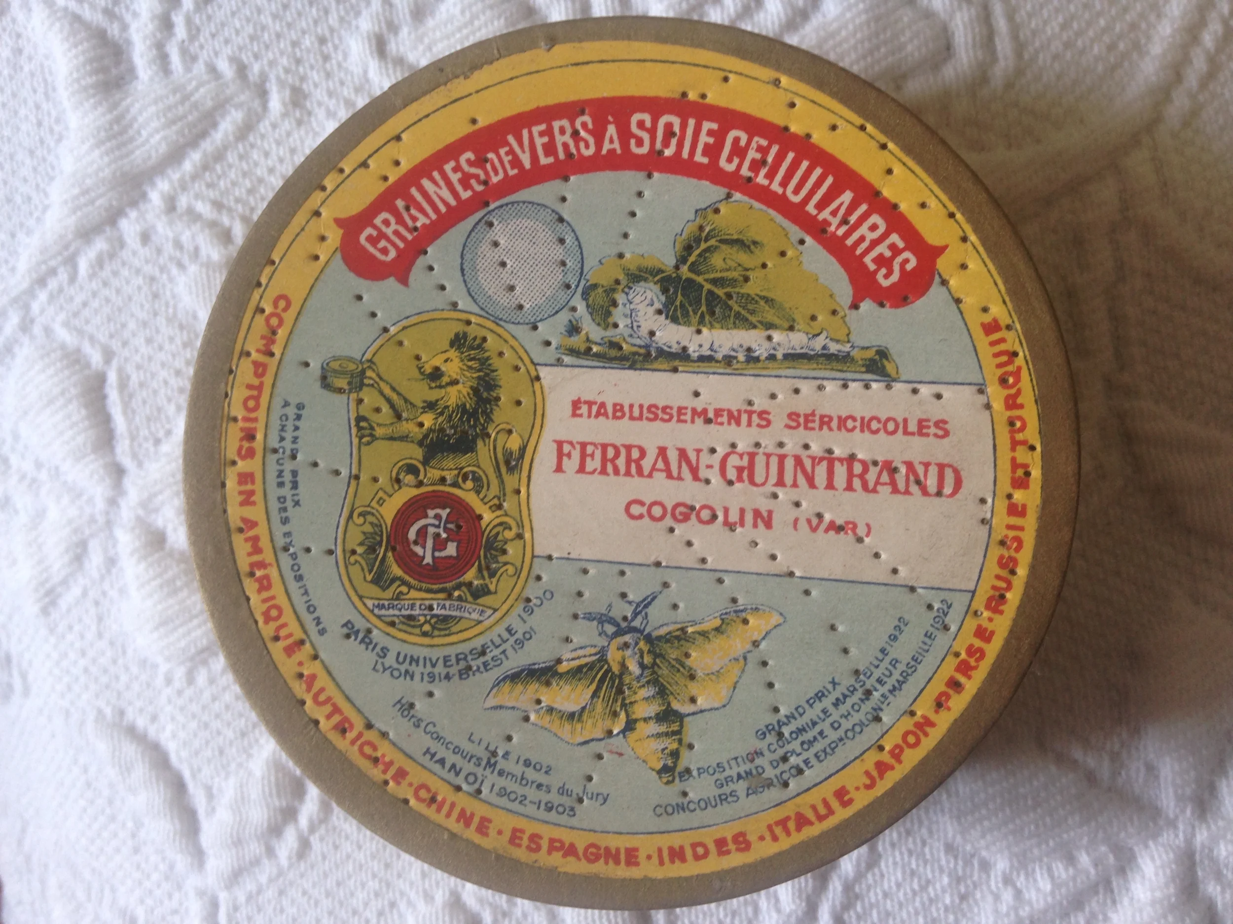 Hunting and Collecting