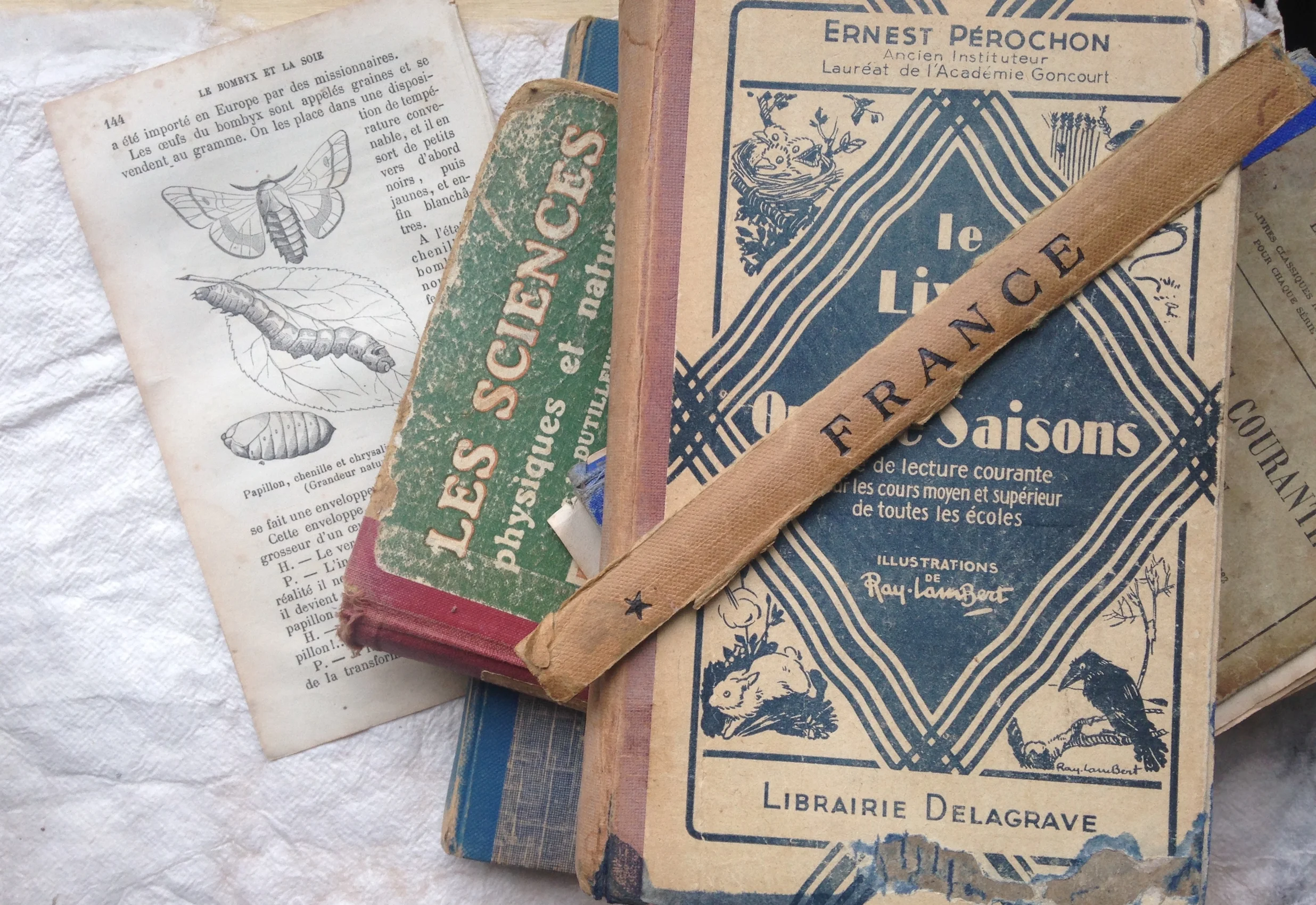 Frech books from the charity shop. You can see the silk moth image I used for mono printing.