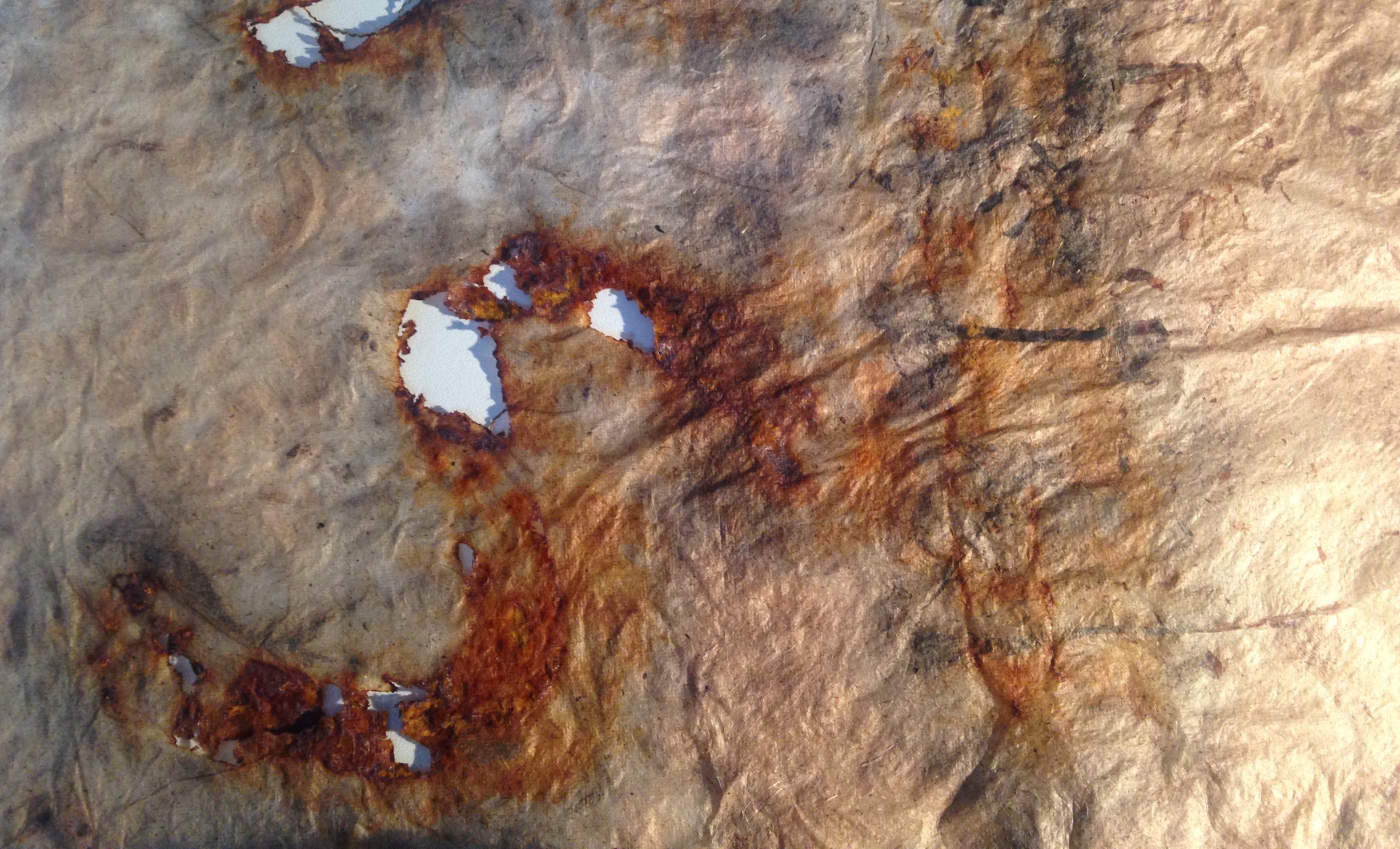 Experimenting with rusted objects on banana paper