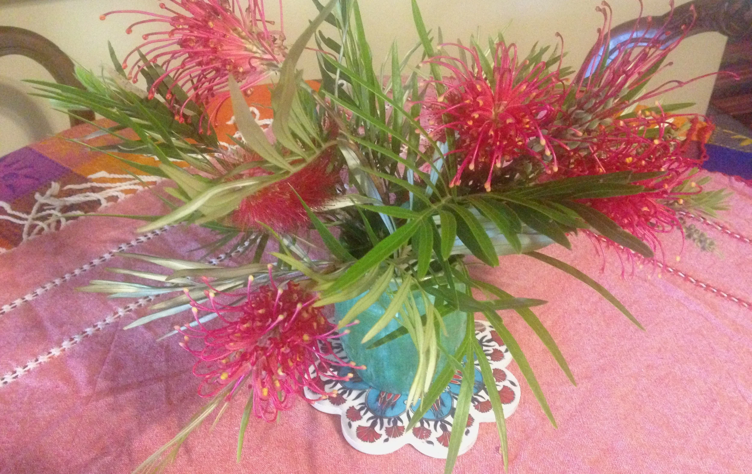bottlebrush in vase.jpg