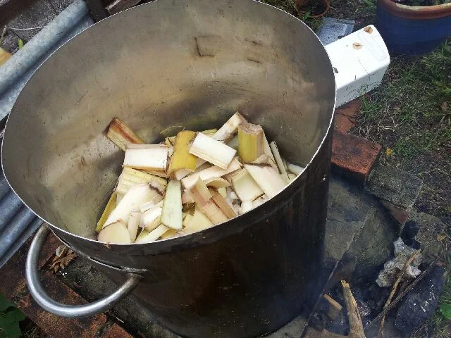 My main paper making is with banana fibre. The plant trunk is chopped then cooked for many hours, then rinsed until the water runs clear then beaten. Its a long but rewarding process.