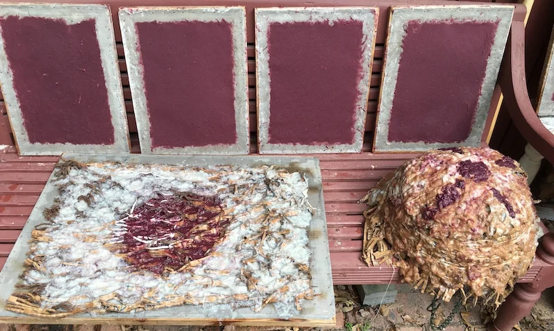 Plum paper and paper pulp through cardboard packaging experiments.
