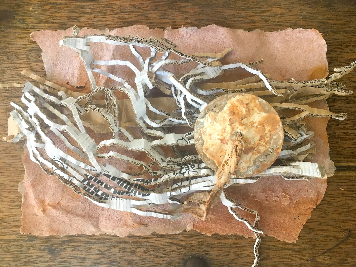 Work in process ~ paper tentacles