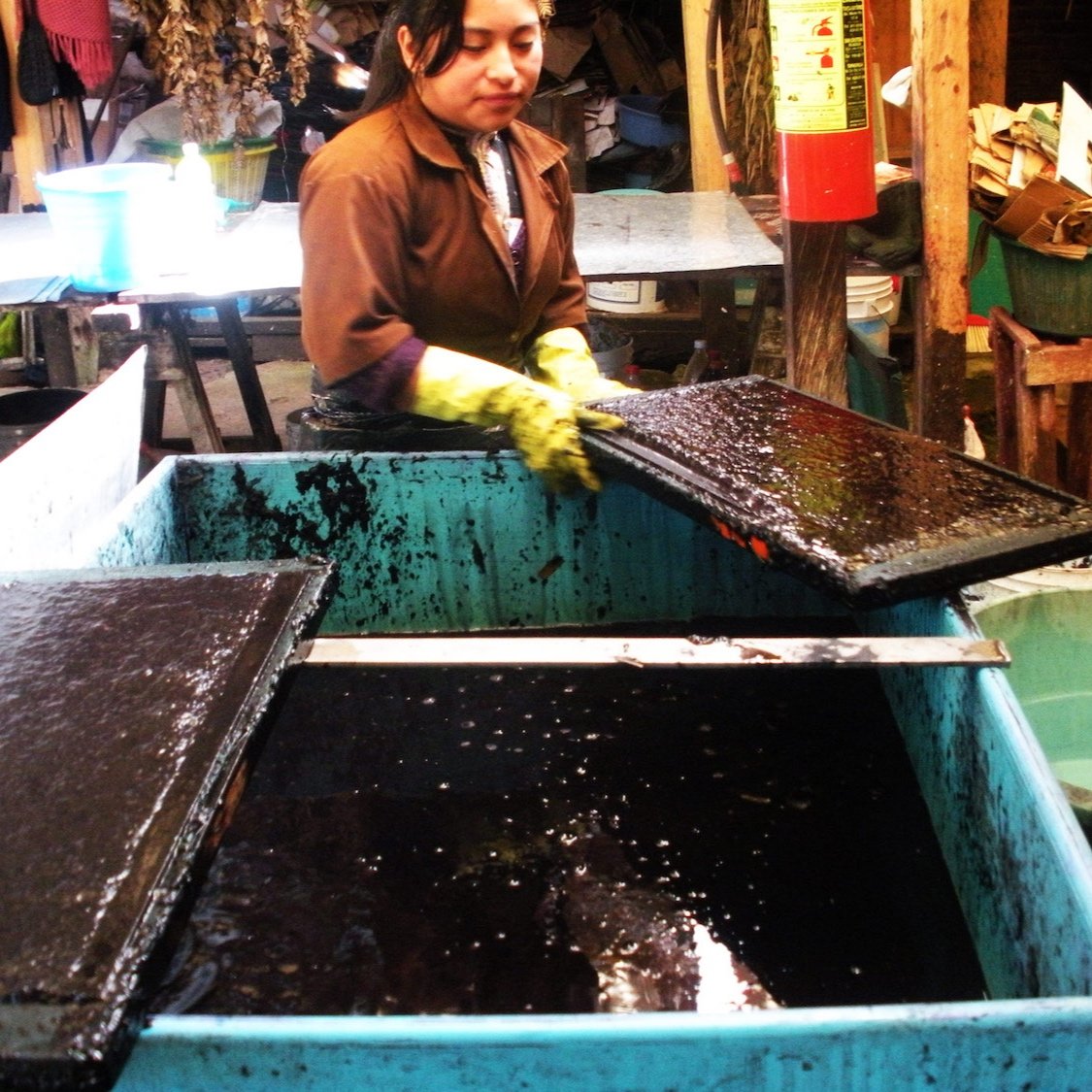 Mexican Papermaking | Mexico, 2011