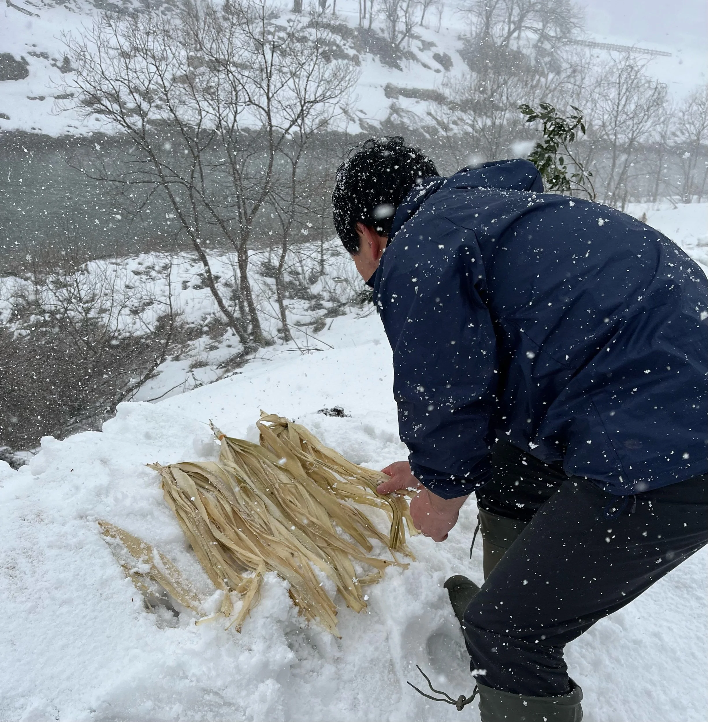 Snow Bleaching