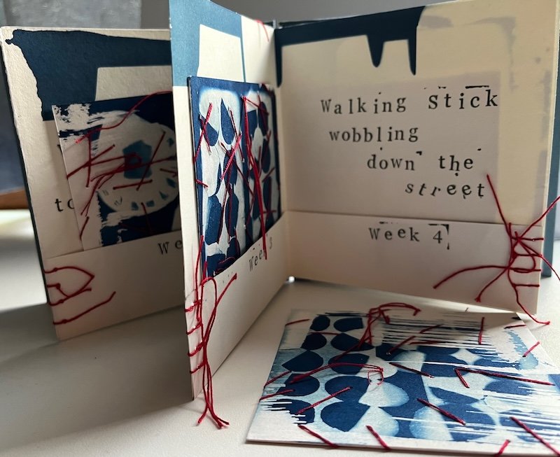  Artist Book Award | Manly, 2025