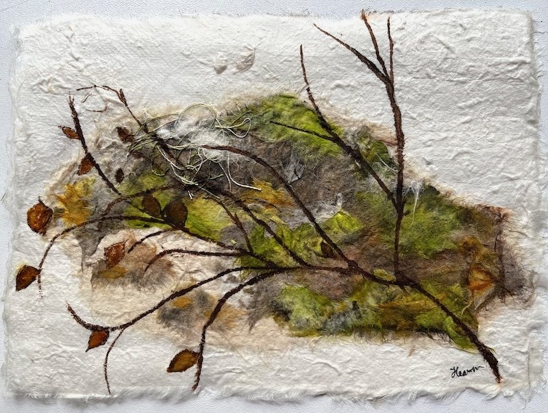 Myrtle Forest Floor 2025