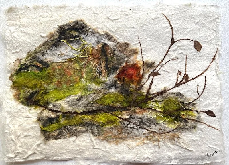 Forest Fungi 2025