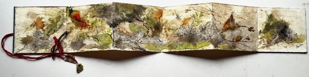 Ancient Forest Finds 2025