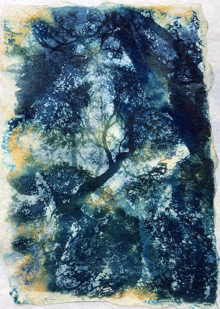 Poems Writ Upon the Sky 2025