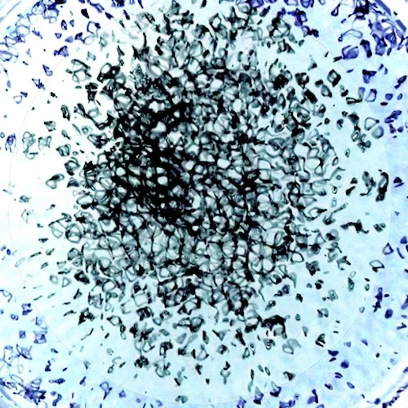 Water sound fractal images