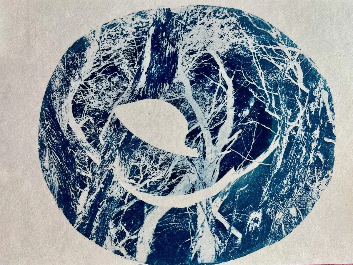 &amp; Art Gallery | Tootgarook, 2025