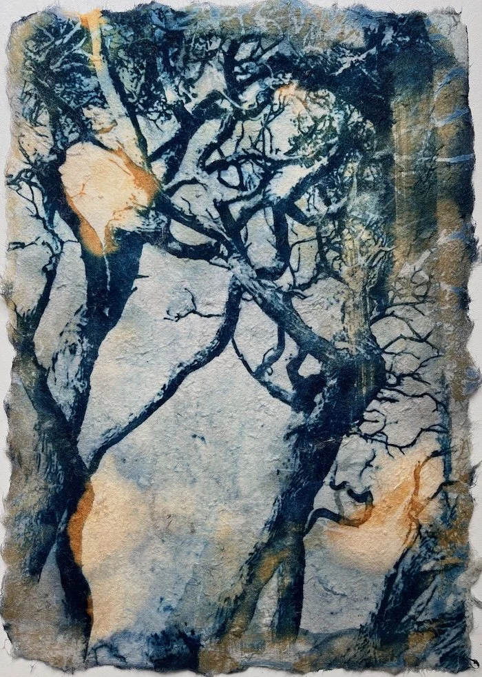 01 H_Matthew_Eye _of_the_Beholder.jpeg