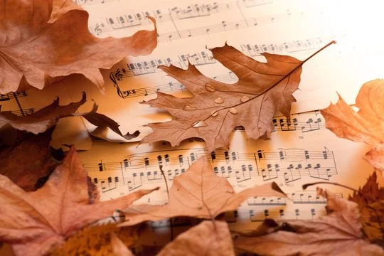 Meramec Orchestra Fall Concert