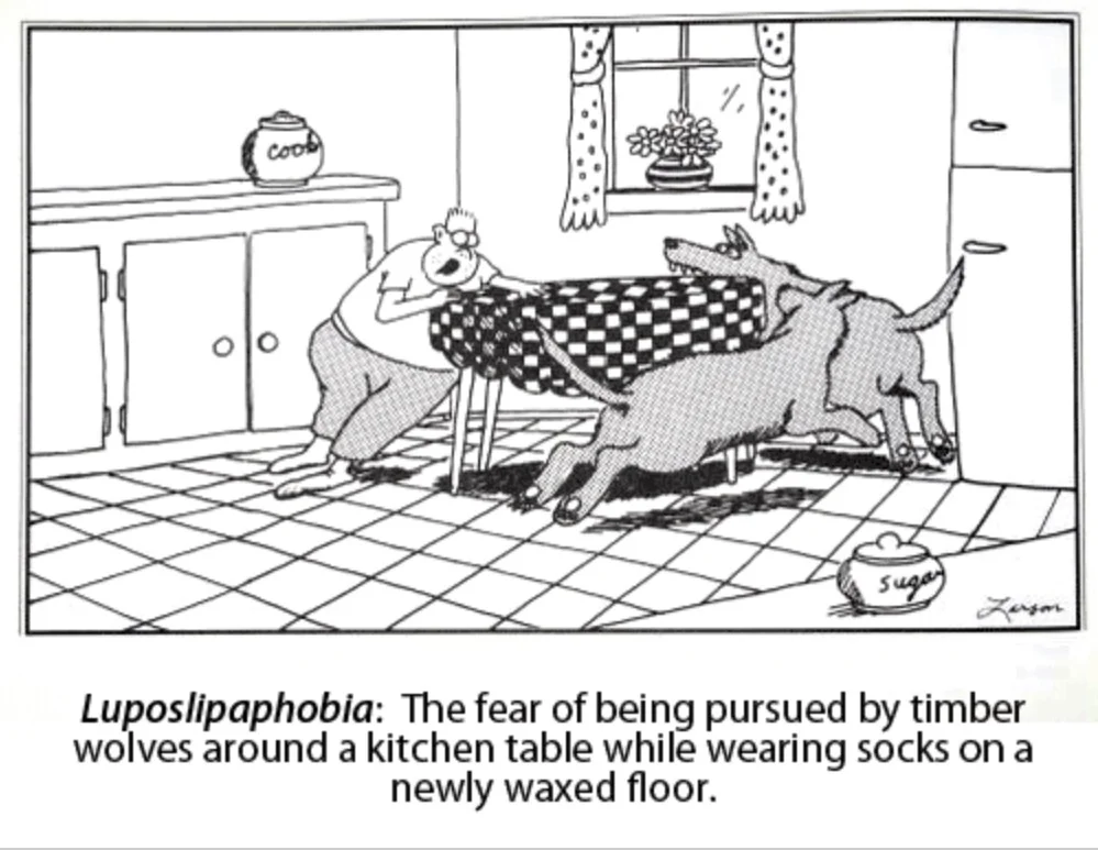 This is often how it feels to do shadowing, although the consequences of slipping are not nearly as tragic.
