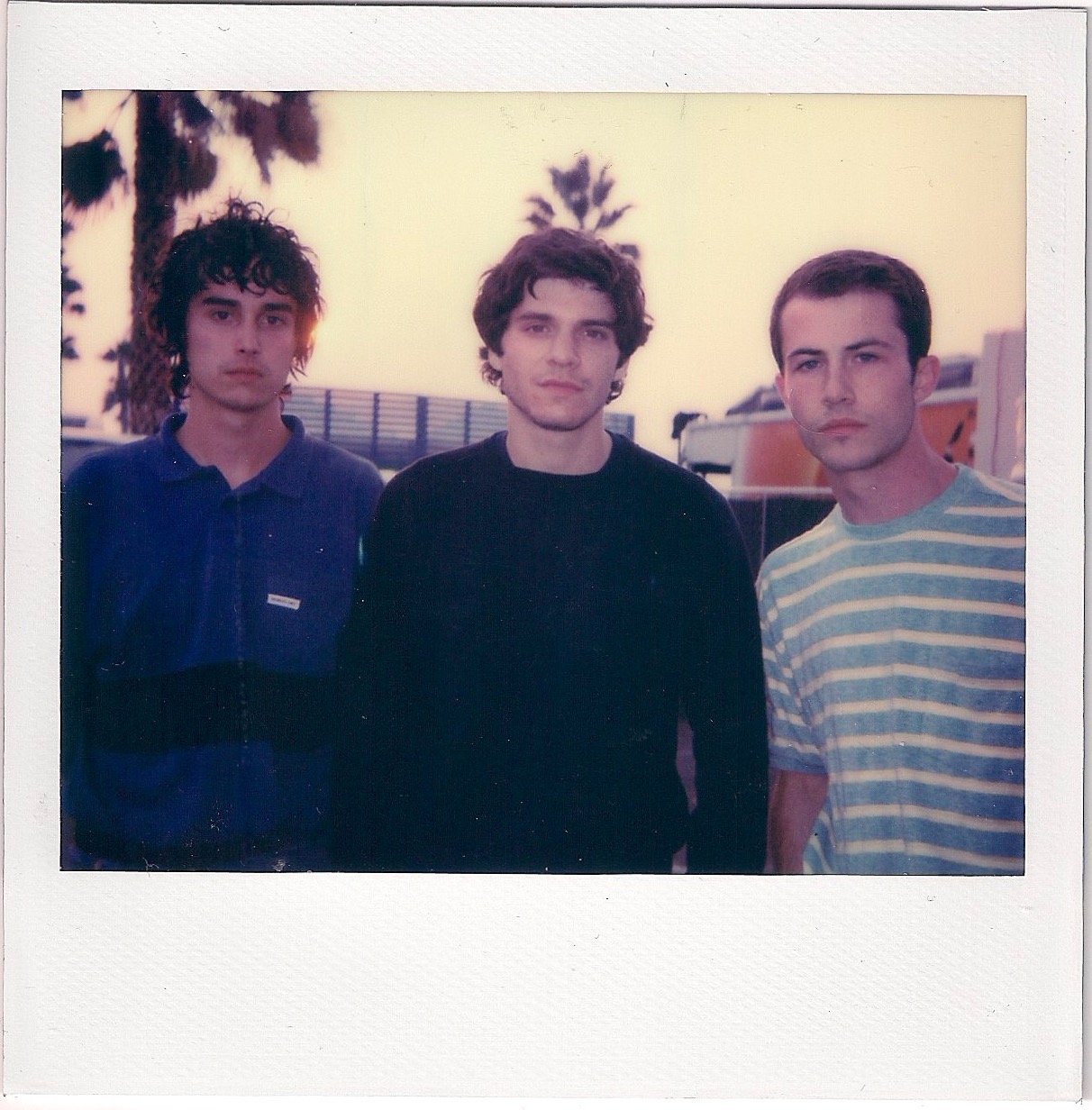 WALLOWS
