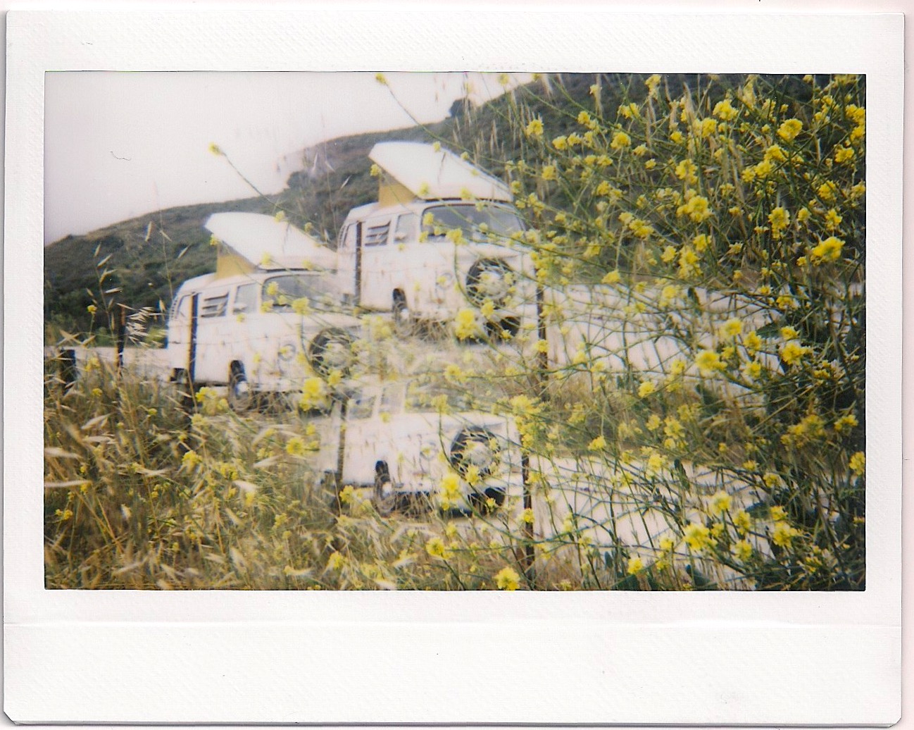BIG SUR