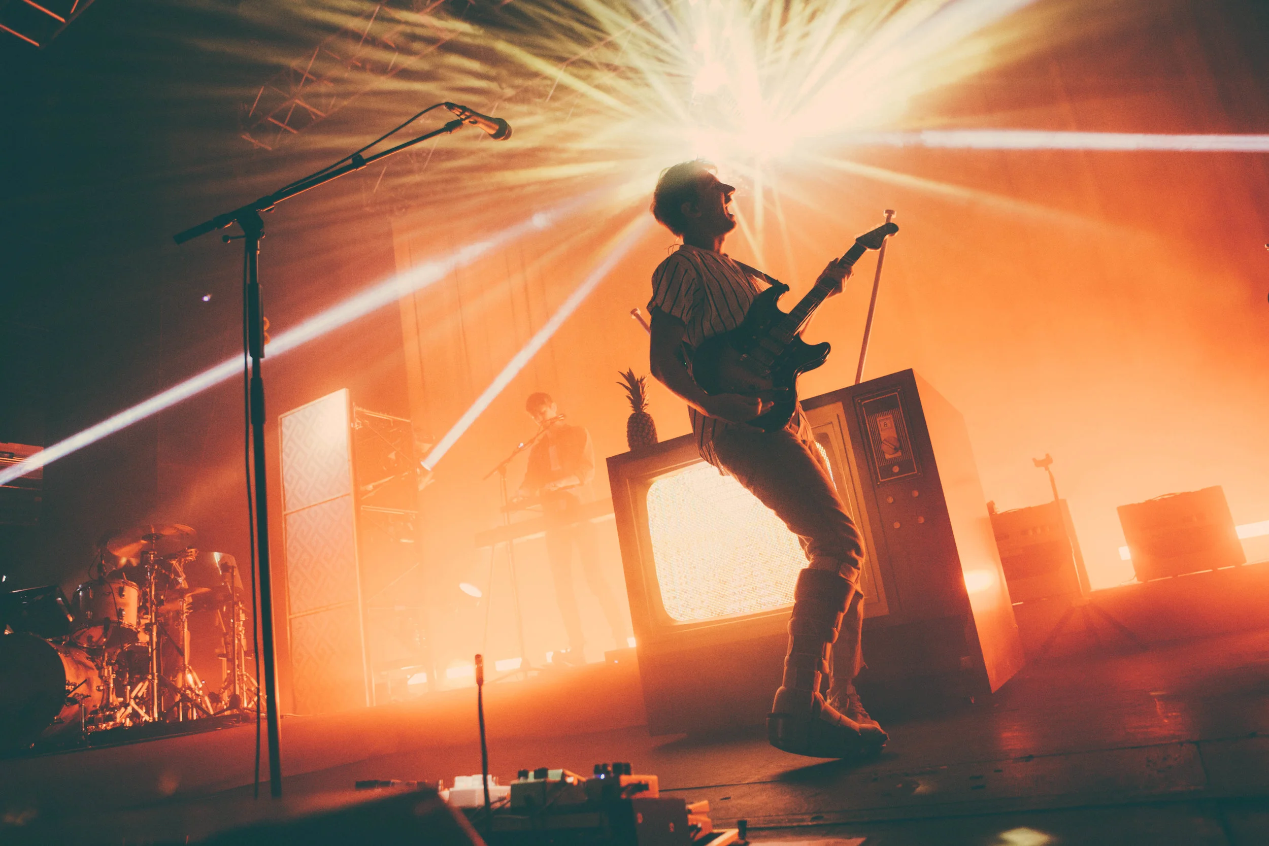 GLASS ANIMALS