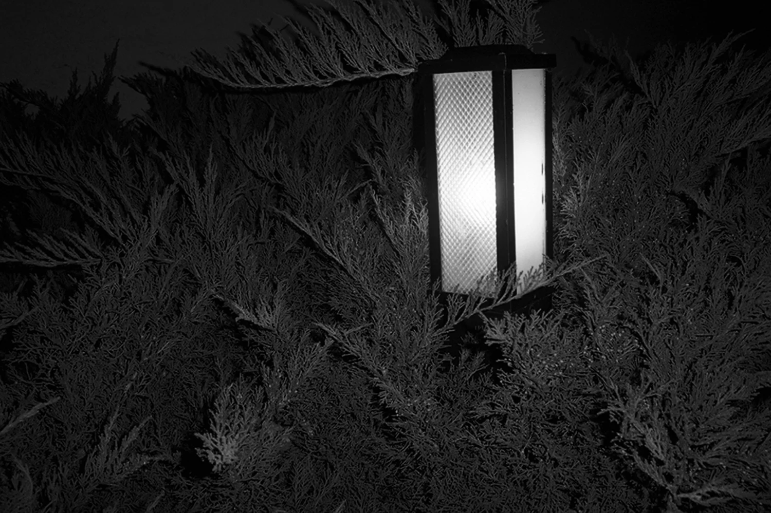 V1-Quadtone-010_o.jpg