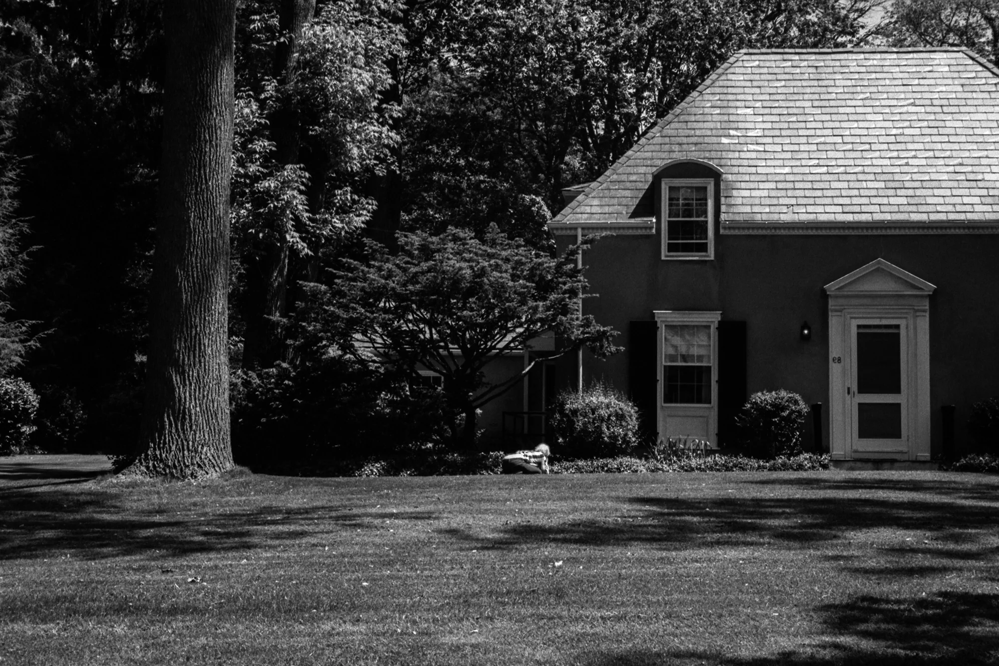 2017.07.01 35mm Princeton 050 web.jpg