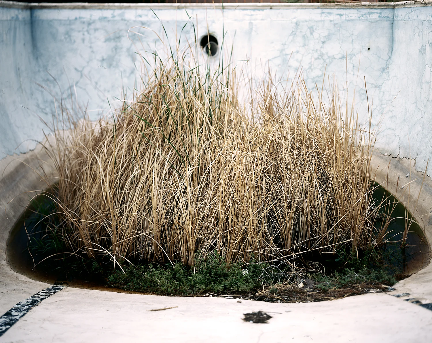 04142013 SR 015B web_o.jpg