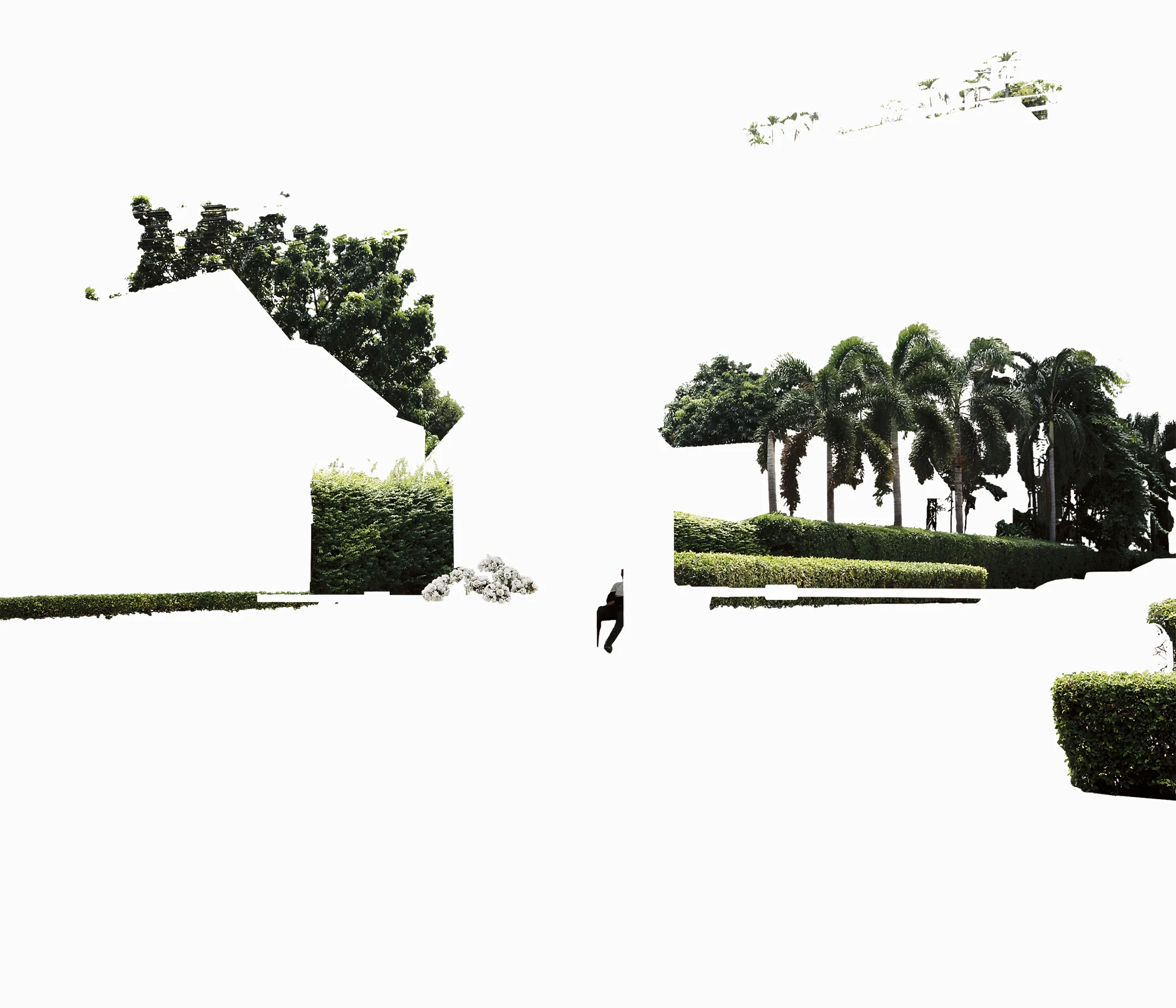 Removed005 web.jpg