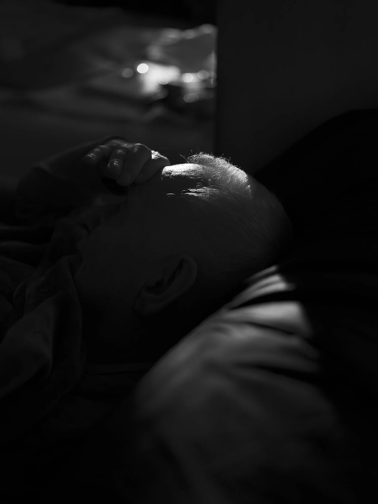 _DSF8264_web.jpg