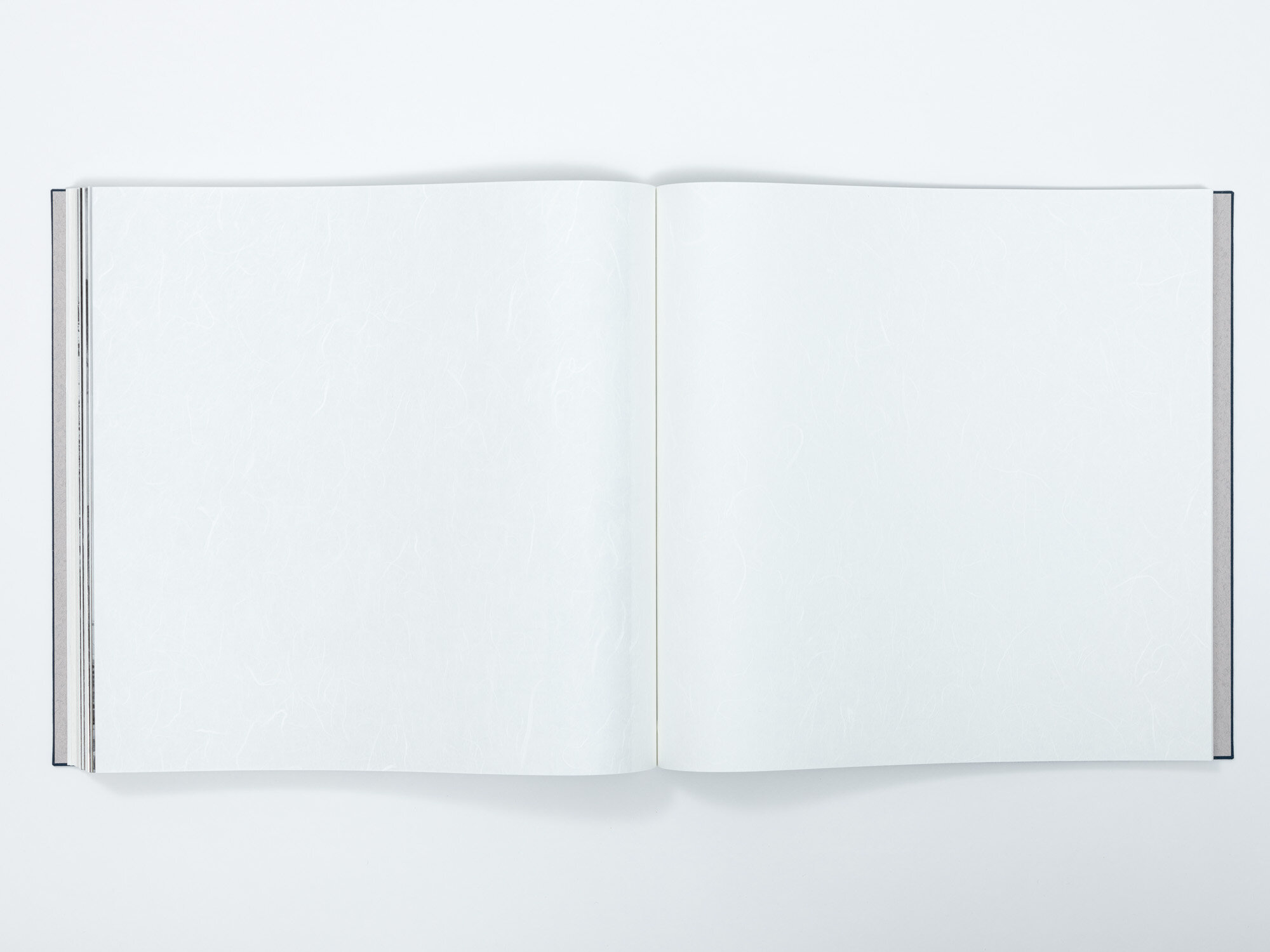 Revisiting Book_43_web.jpg
