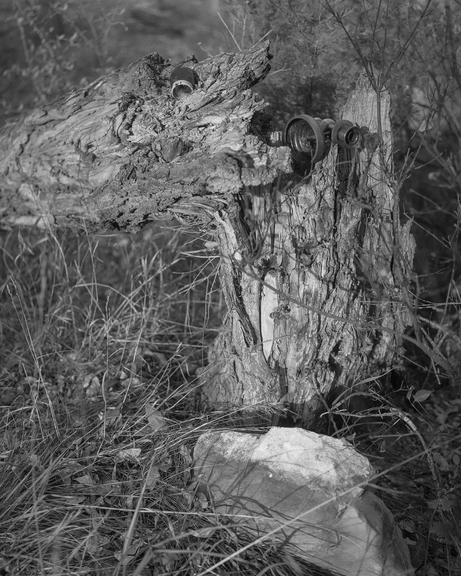 _DSC0592_web.jpg
