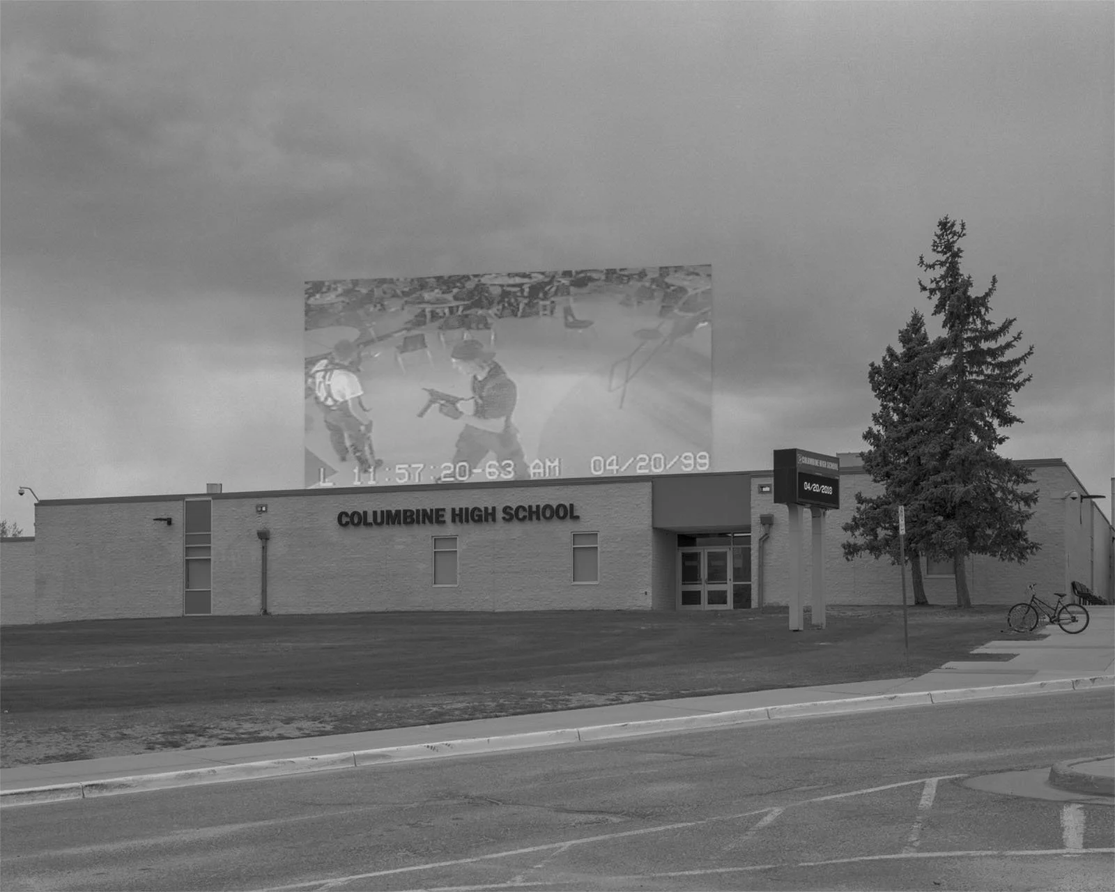 Columbine_Reflective_Print copy.jpg