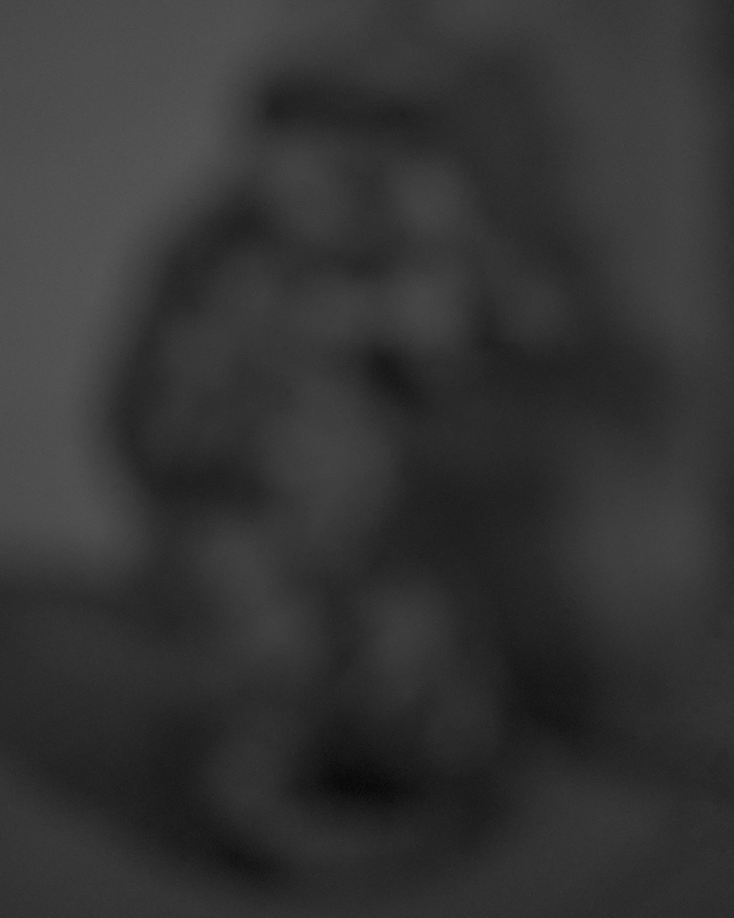 _DSC0396_wk.webp