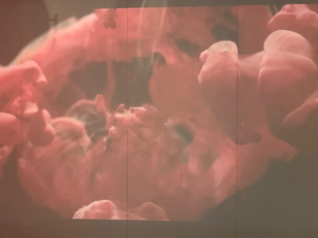 A projected video metaphor for the winemaking process. Fermentation is a wild ride!