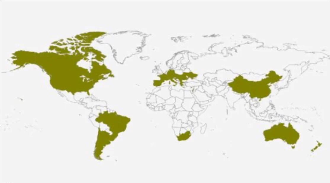 Even Cabernet Sauvignon (the world's most popular wine grape) grows in fewer countries than Chardonnay.