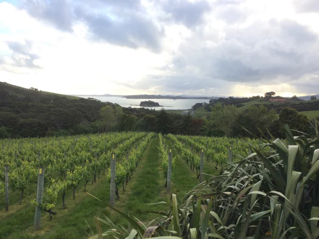 Stunning views are easily discovered on New Zealand's Waihiki Island.