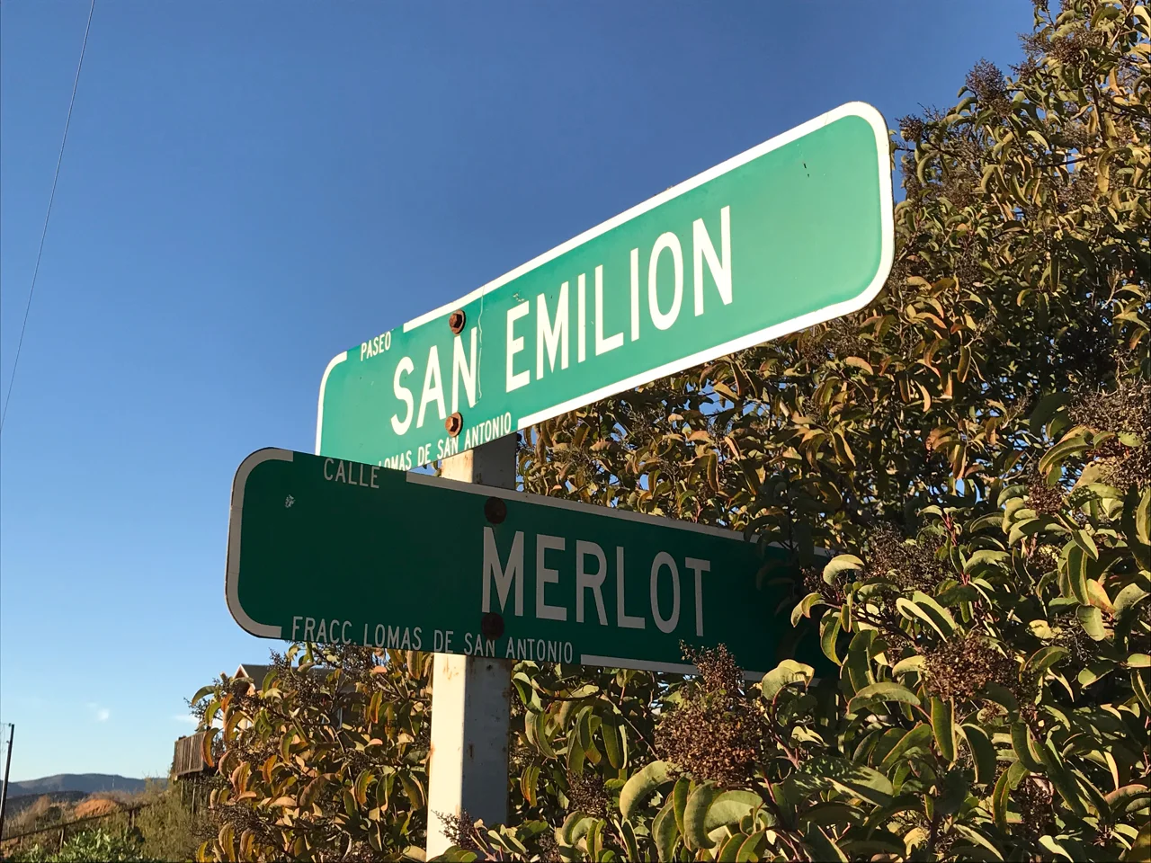 The region is embracing its wine identity.