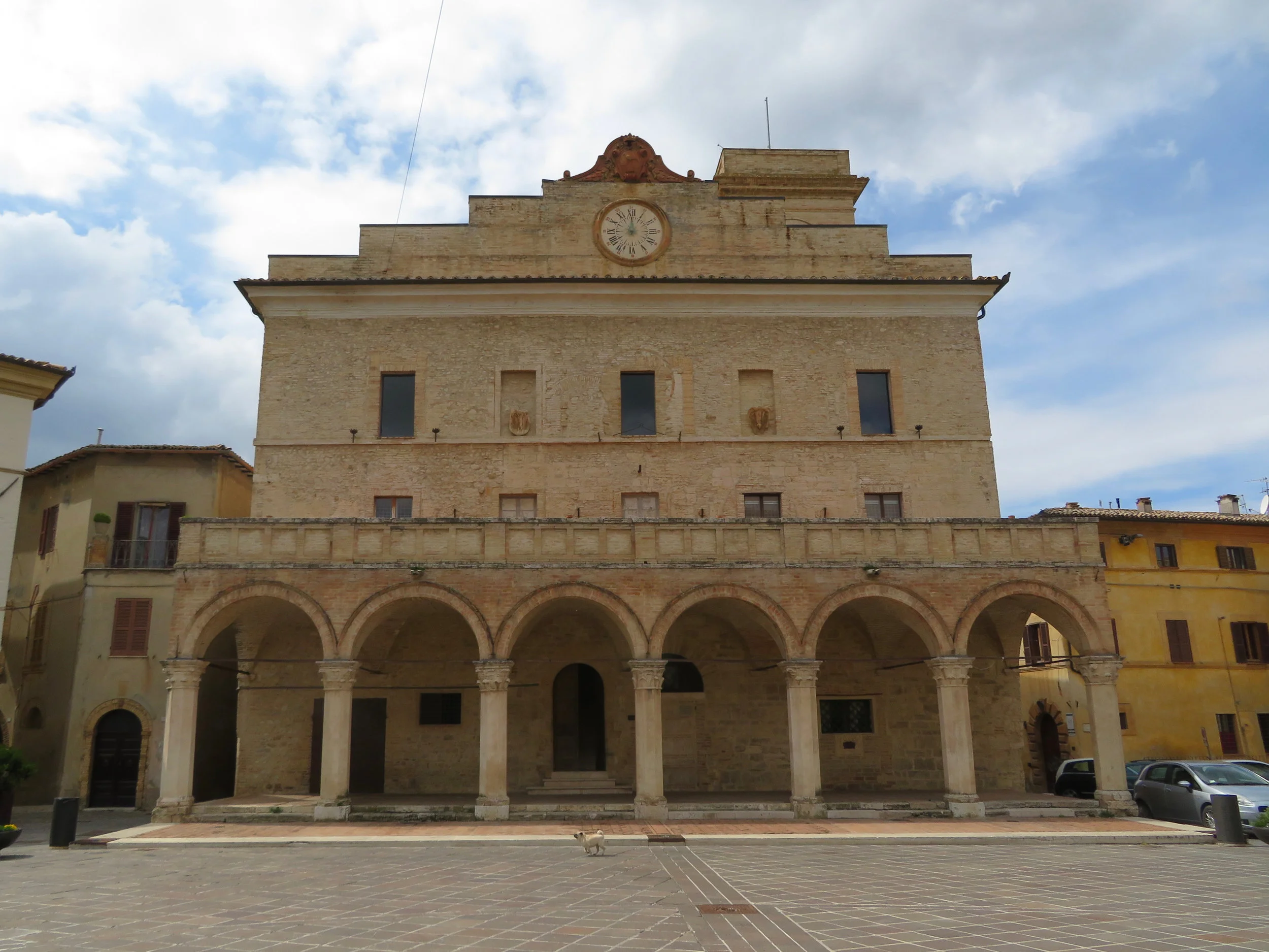 The piazza in Montefalco. Big building, tiny dog.