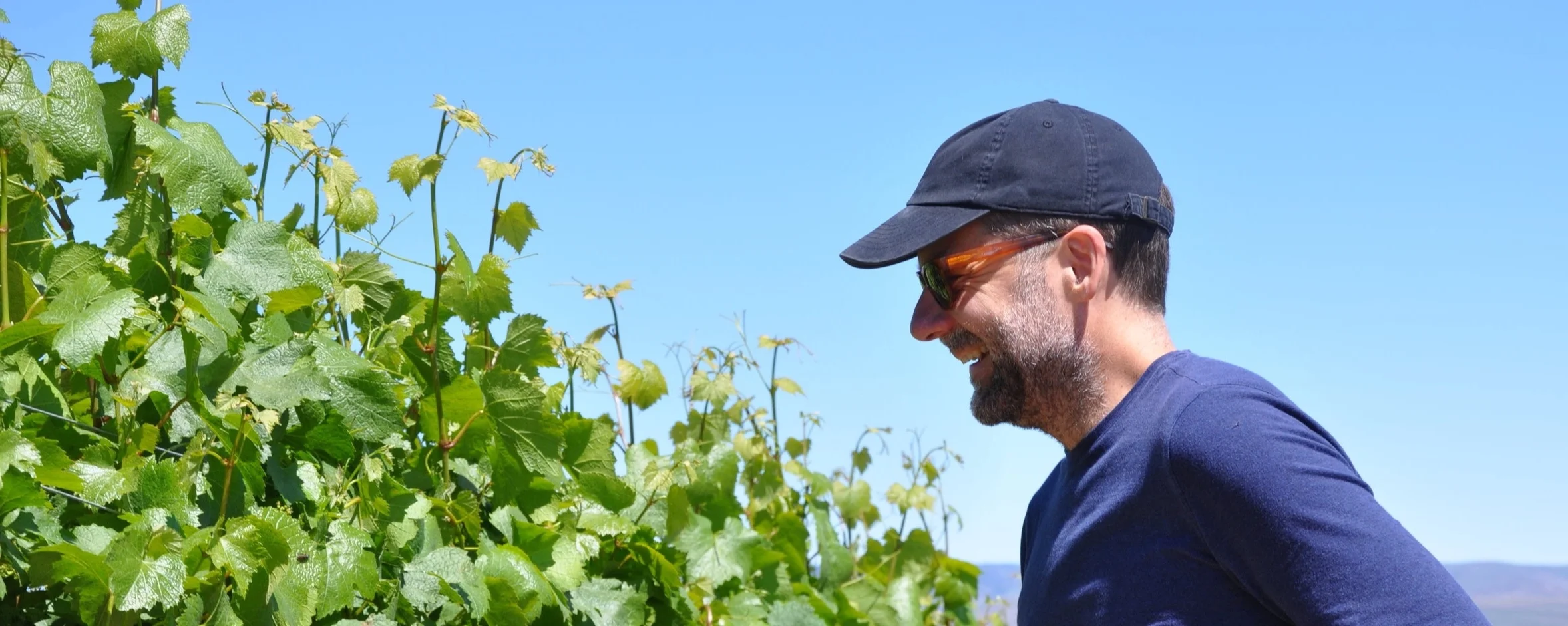 Matt Frazier founded Drum Roll Wine in 2017.