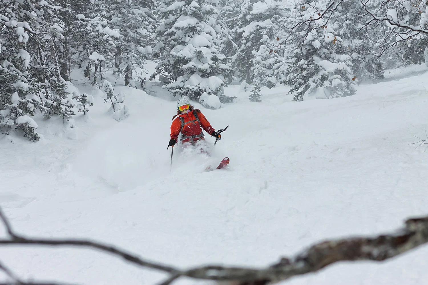 Woman skier free rider goes down on powder snow in the mountains