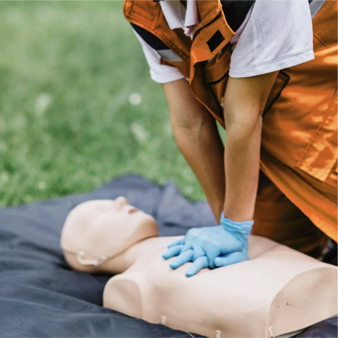 BVMA-SOLO-WFR-CPR-web.jpg