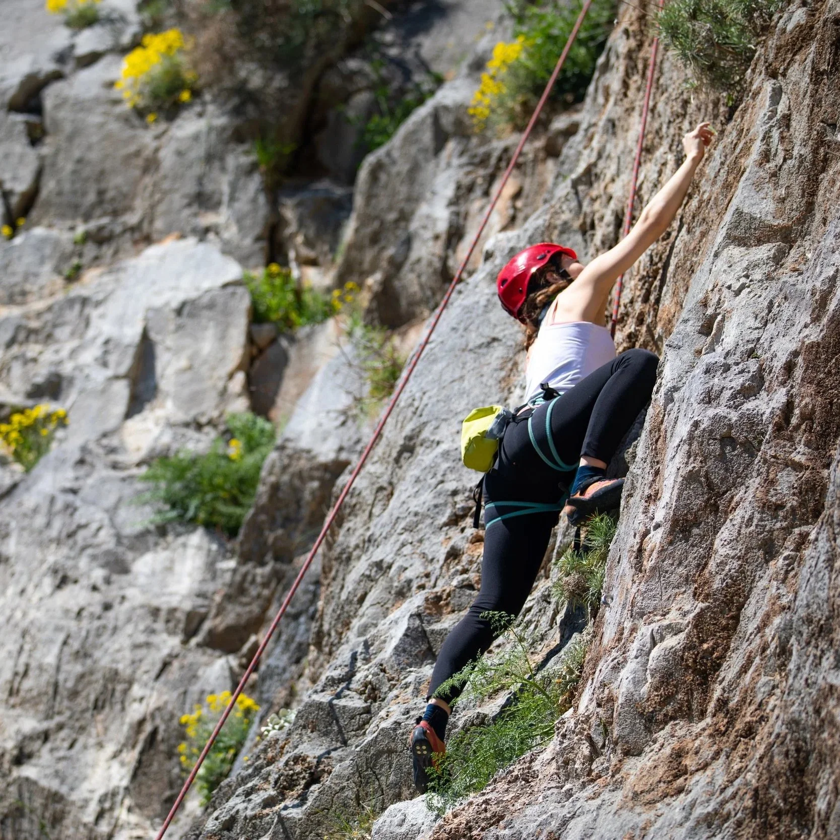 Guided Rock Climbing Half-Day