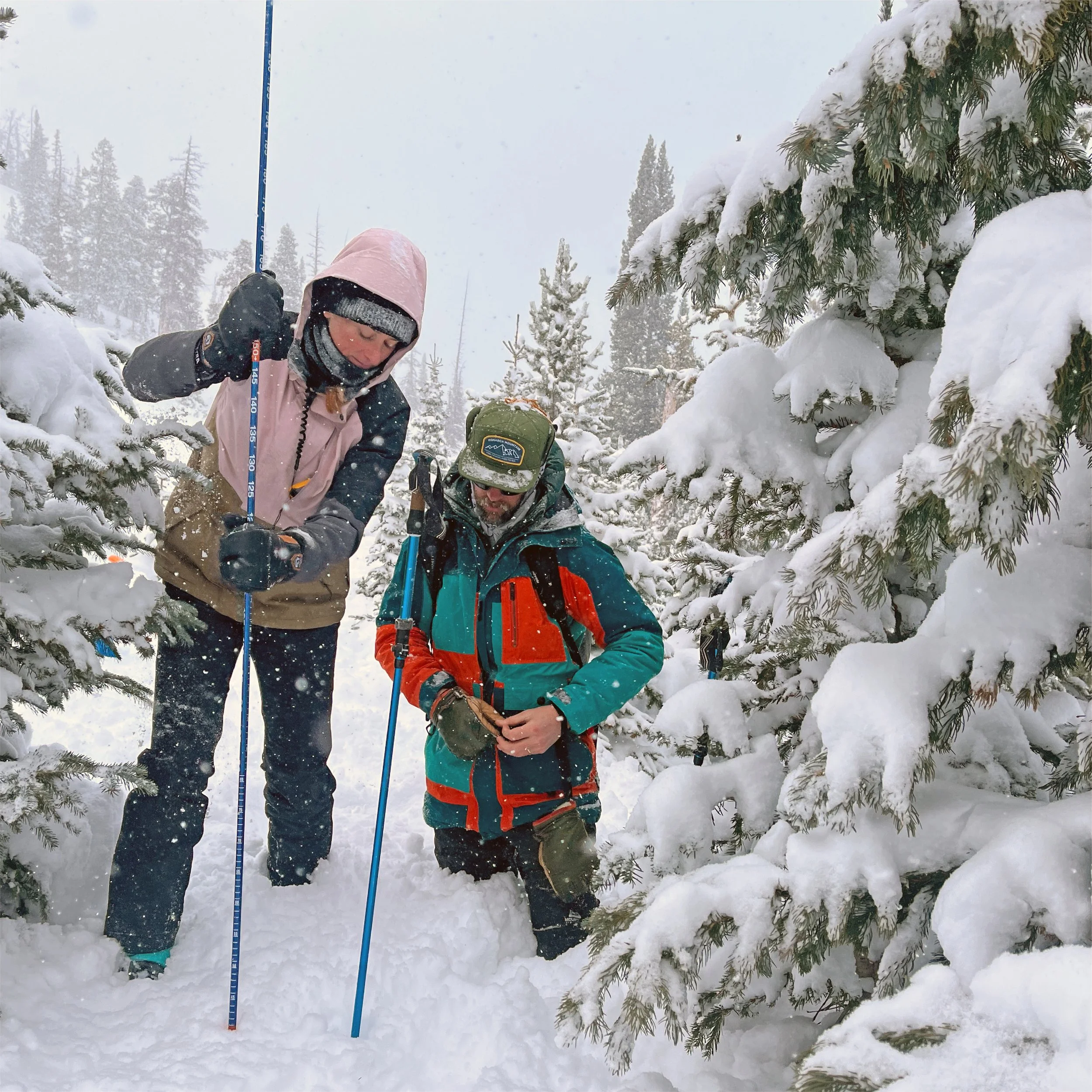 BVMA-Avalanche-Rescue.jpg
