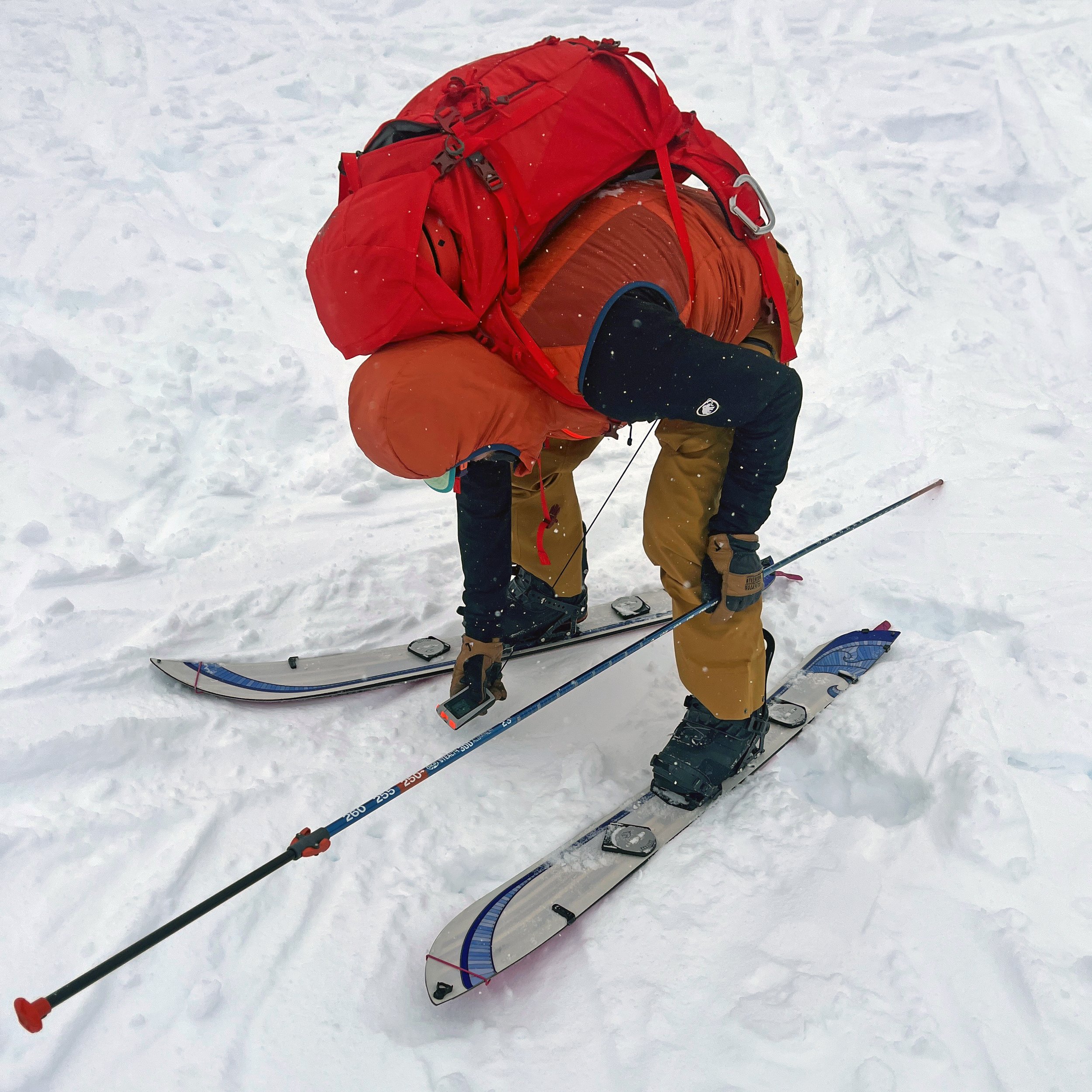 BVMA-Avalanche-Rescue-2.jpg